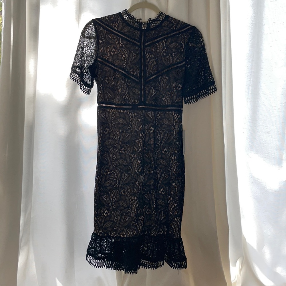 BRAND NEW BARDOT Black Lace Dress- 6